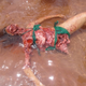 Image for article titled Piranha 3D is anti-evolution, anti-sex, pro-police state propaganda!